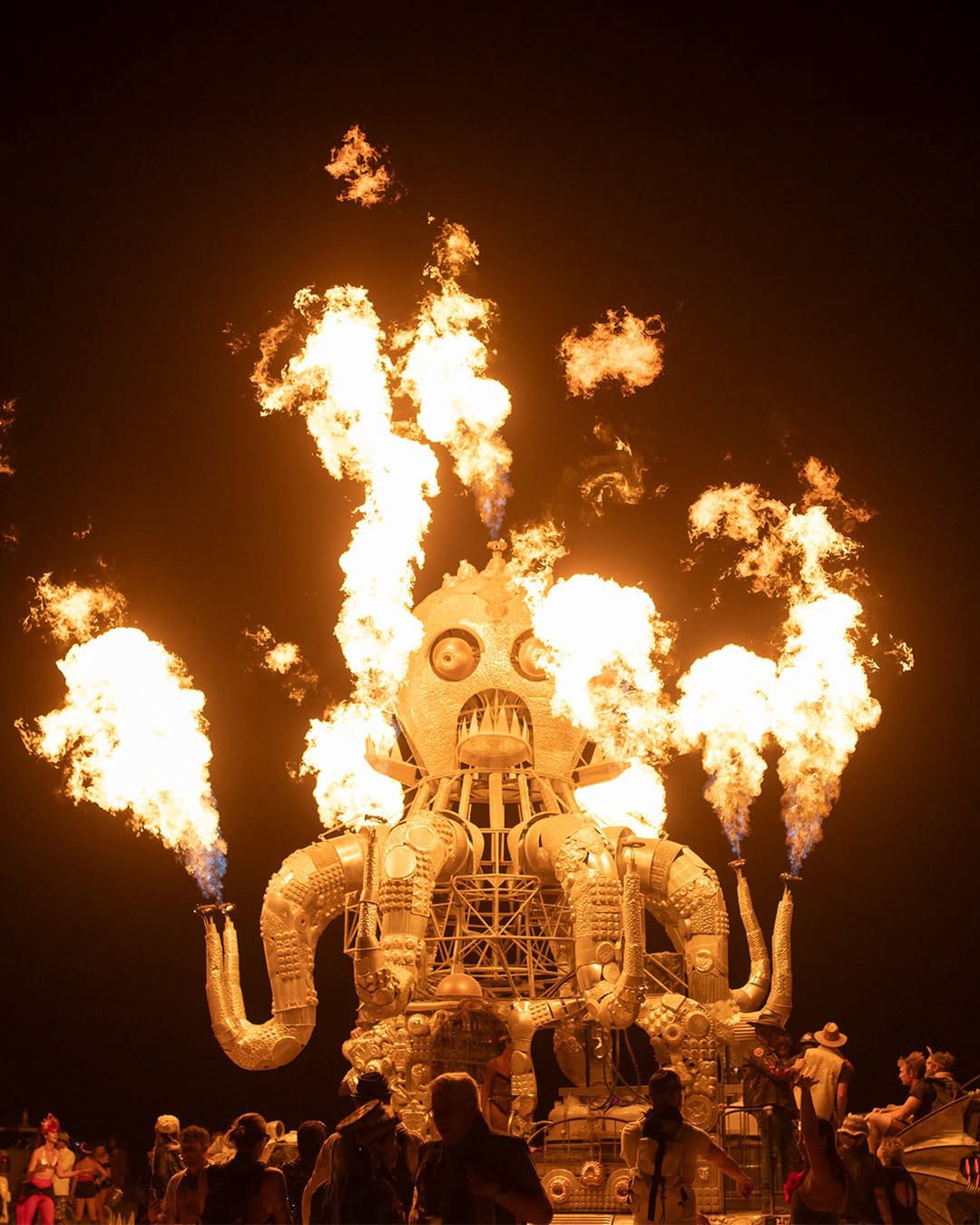Burning Man Festival