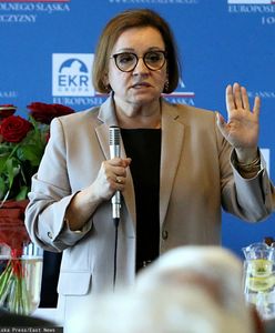 Anna Zalewska o PE. "To rozwiązania dla lobbystów i firm"