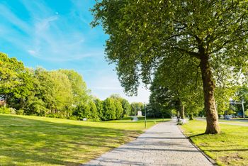Pogoda na poniedziałek. Słoneczna aura i umiarkowane temperatury