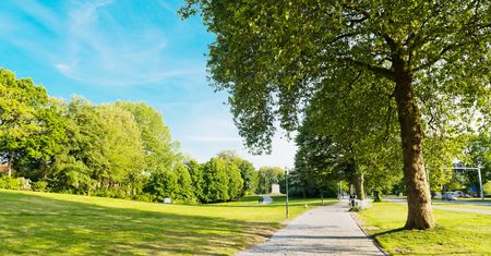 Pogoda na poniedziałek. Słoneczna aura i umiarkowane temperatury