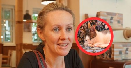 Dzieciom wstęp wzbroniony. Właścicielka tłumaczy się ze swojej decyzji [WIDEO]