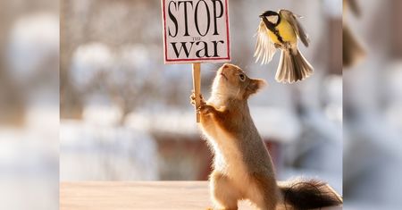 Każdy pokazuje sprzeciw jak może. Fotograf pokazał protestujące wiewiórki