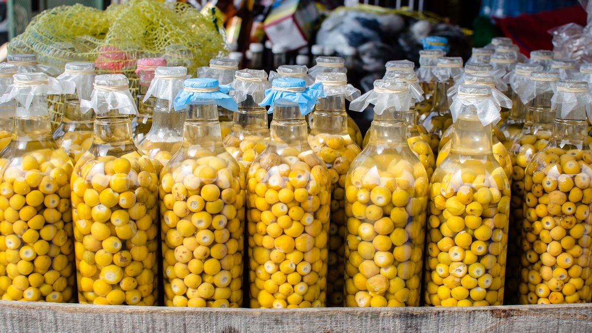 Sekret odporności i zdrowych jelit. Jak zrobić kiszone cytryny?