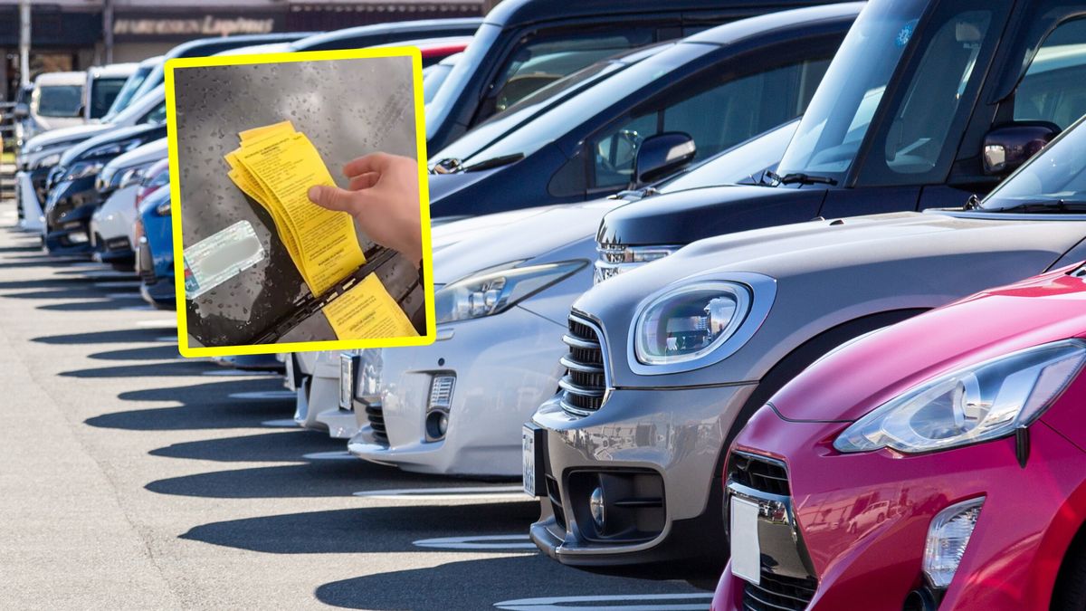 "Niespodzianka" za wycieraczką.