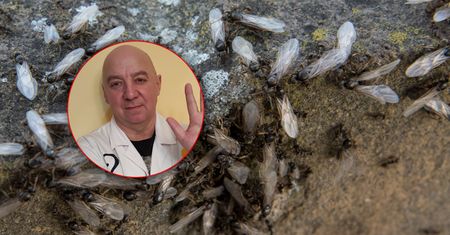 "Wchodzą wszędzie". Zagraniczne media przed nimi ostrzegają. Co z Polską?