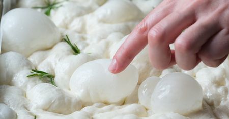 Uboga wersja najpopularniejszego dania świata. Najlepszą rozpoznasz po dziurach