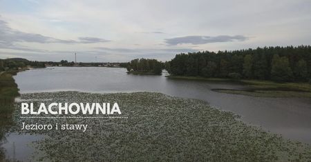 Zalew Blachownia