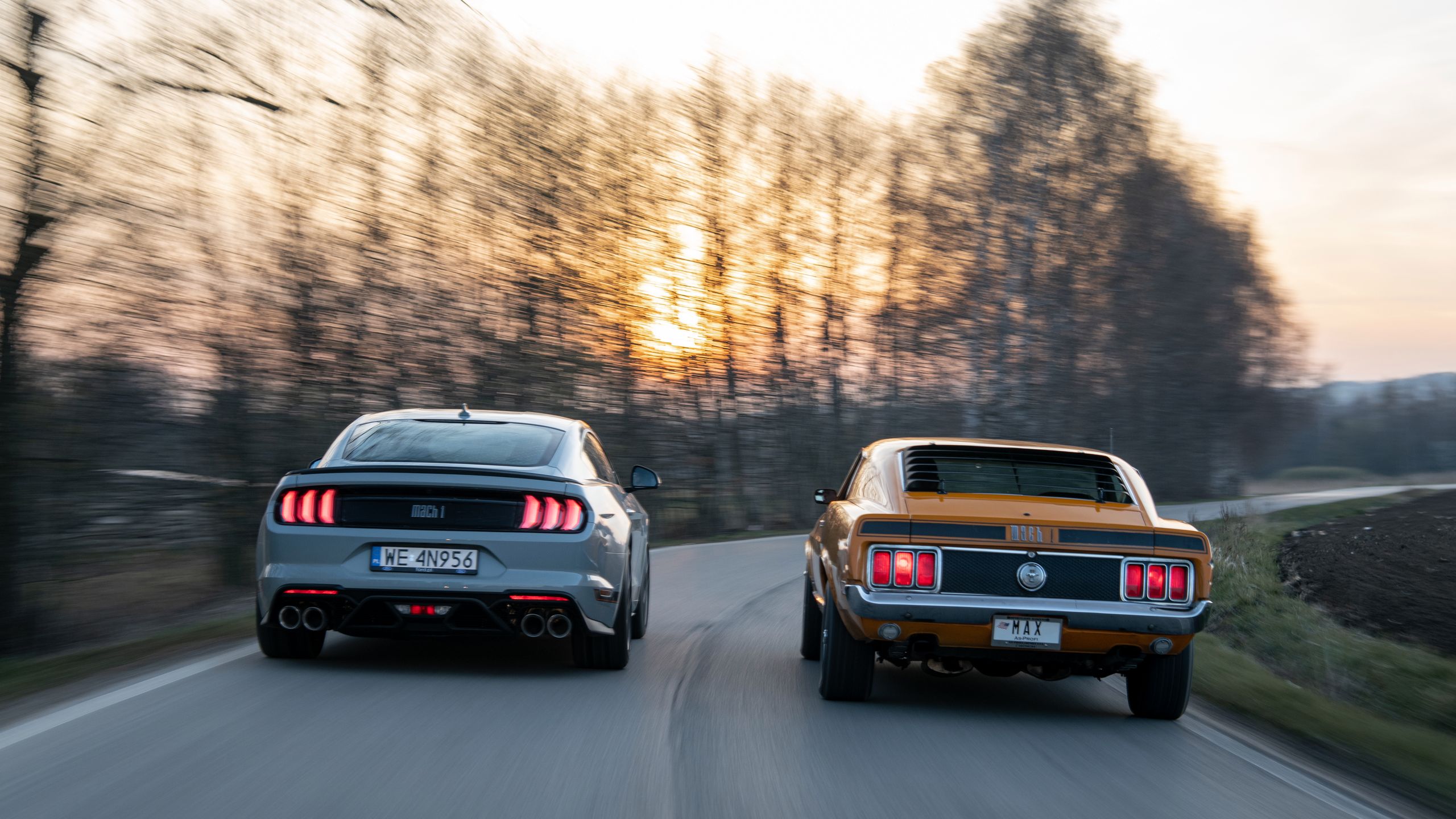 Ford Mustang Mach 1 vs. Mustang Mach 1 428 Cobra Jet