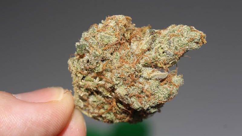marihuana narkotyki