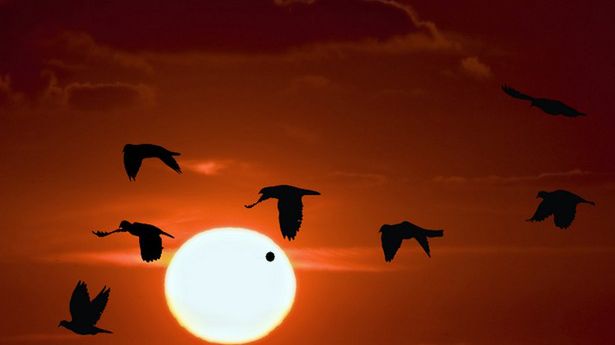 Tranzyt Wenus - wspólne obserwacje nieba 1