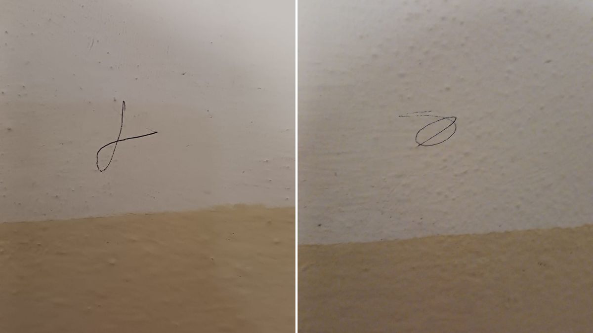 Popłoch na Ursynowie