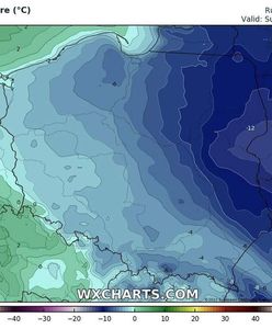 Czeka nas kolejny atak zimy? W prognozach duże mrozy