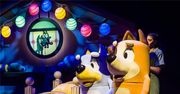 Bluey Wielka Zabawa wspaniały teatralny show premierowo w Polsce!