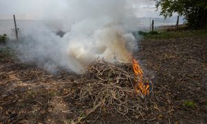 Palenie gałęzi na swojej działce. Oto co mówi prawo