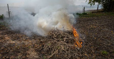 Palenie gałęzi na swojej działce. Oto co mówi prawo