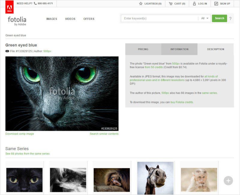 500px sprzedało zdjęcia Fotolii i nie podpisało fotografa. Was też to może spotkać 3