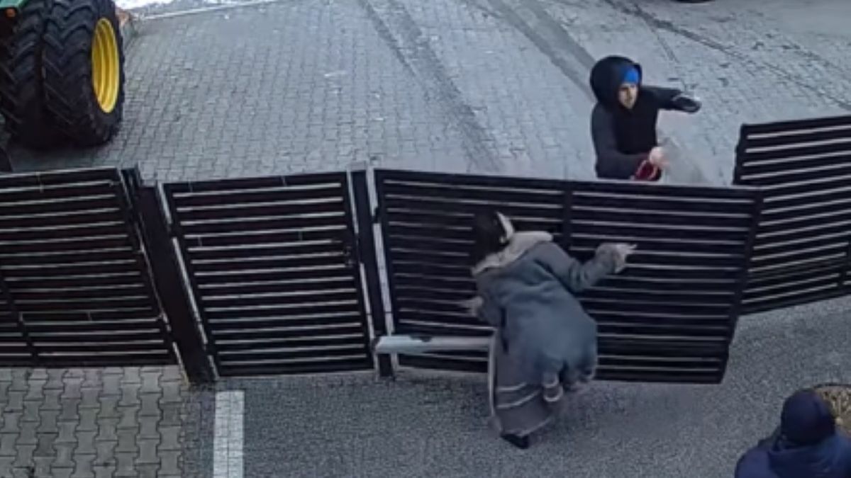 Dlaczego Antek Królikowski pchnął bramę na posesję swojego teścia? 