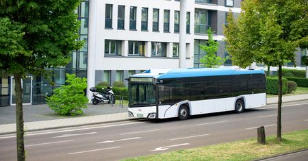 Polskie autobusy mają wzięcie. Niemal 100 egzemplarzy trafi na Sardynię