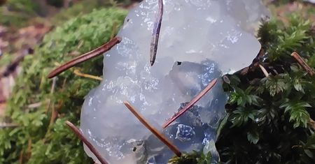 Kosmiczne galaretki w Karkonoszach? Internauci typują