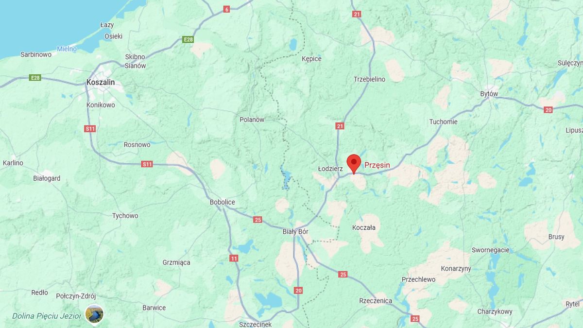 Na drogę wybiegło dzikie zwierzę. W aucie troje dzieci