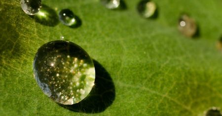 Superhydrofobowa powierzchnia, która może pozostać sucha będąc pod wodą nawet kilka miesięcy