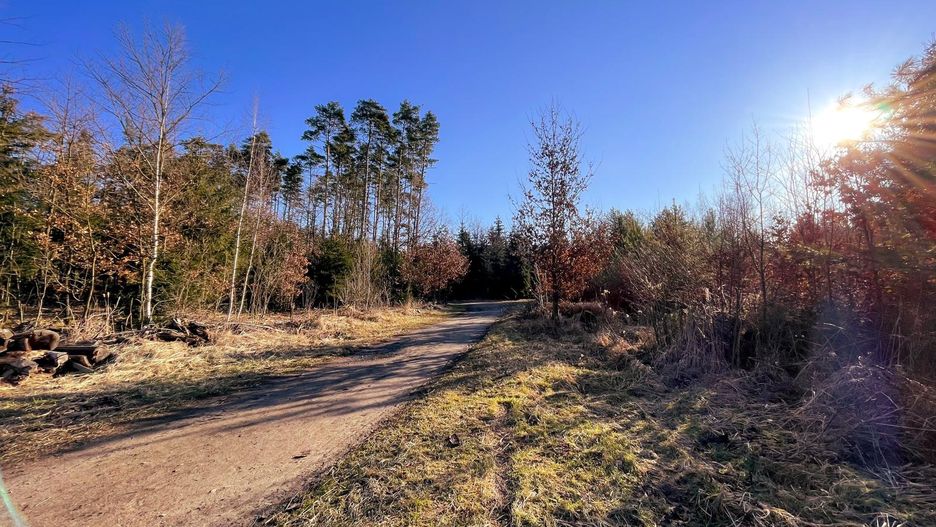 Pogoda. Wrocław. 13 marca 2021 - ciepła i słoneczna sobota. Od niedzieli powrót zimy