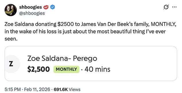 Zoe Saldana ustawiła stały przelew dla rodziny Van Der Beeka