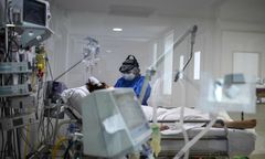 Największa epidemia dengi w historii kraju. Masowe zakażenia w Argentynie