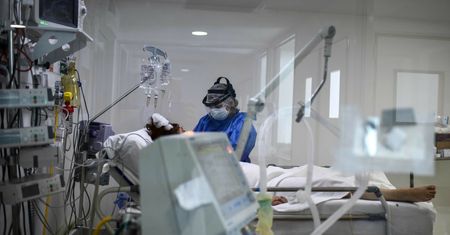 Największa epidemia dengi w historii kraju. Masowe zakażenia w Argentynie