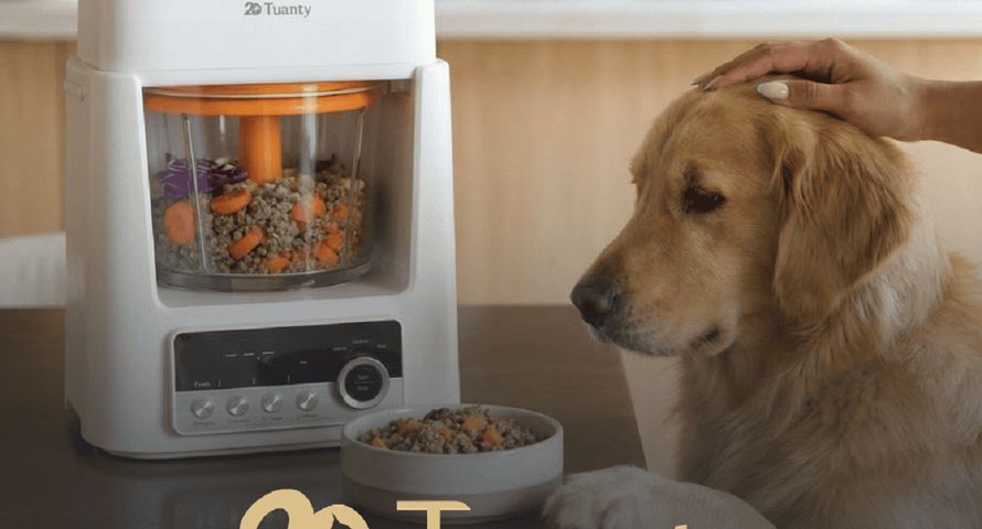 Reputation Right odpowiada za launch marki Tuanty