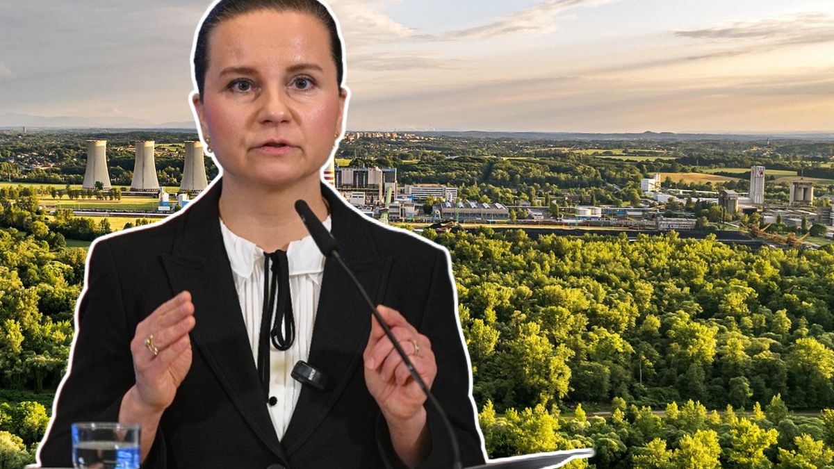 Wiceminister klimatu i środowiska Urszula Zielińska