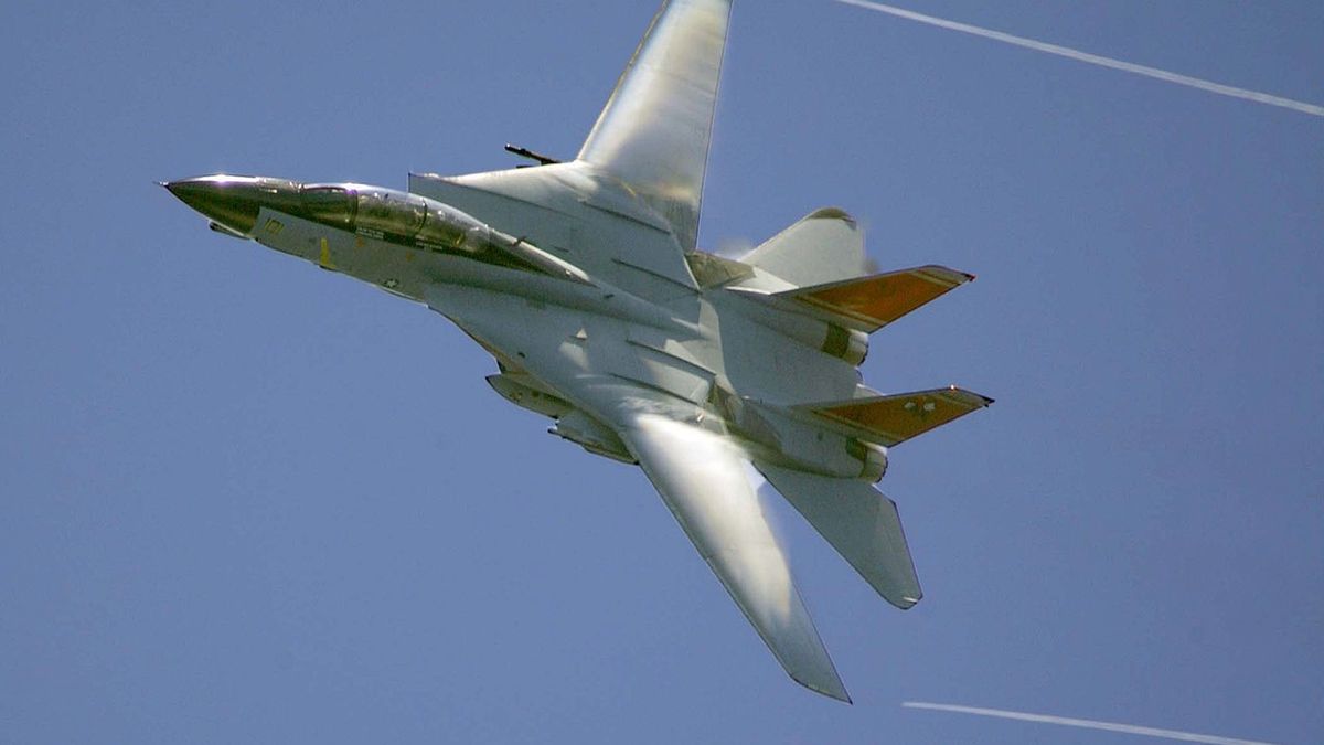 Samolot F-14 Tomcat (fot. Domena publiczna)