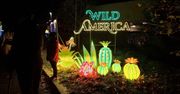 Wrocław: "Dzika Ameryka" - wystawa Garden of Lights rozświetla ZOO