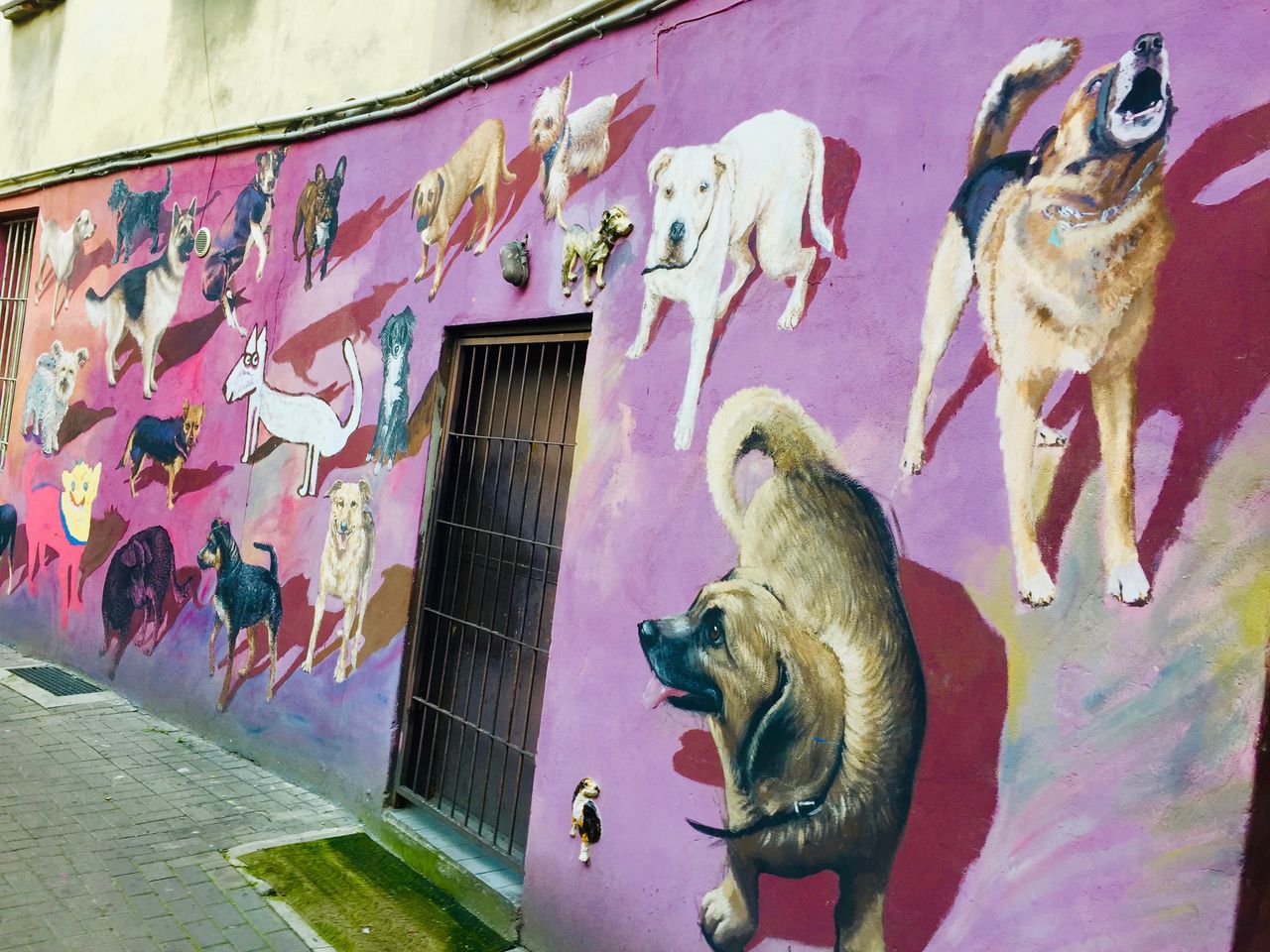 Mural z podwórka przy Roosevelta na wrocławskim Nadodrzu.