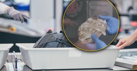 Chciała nielegalnie wwieźć do Polski muszle. "To wpływa dobrze na cerę"