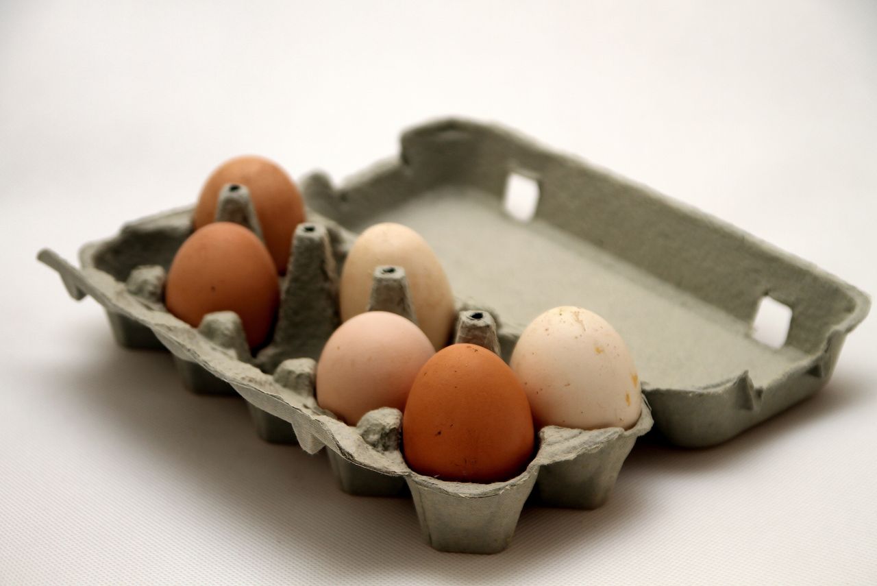 Tym sposobem sprawdzisz, czy jajka są świeże 