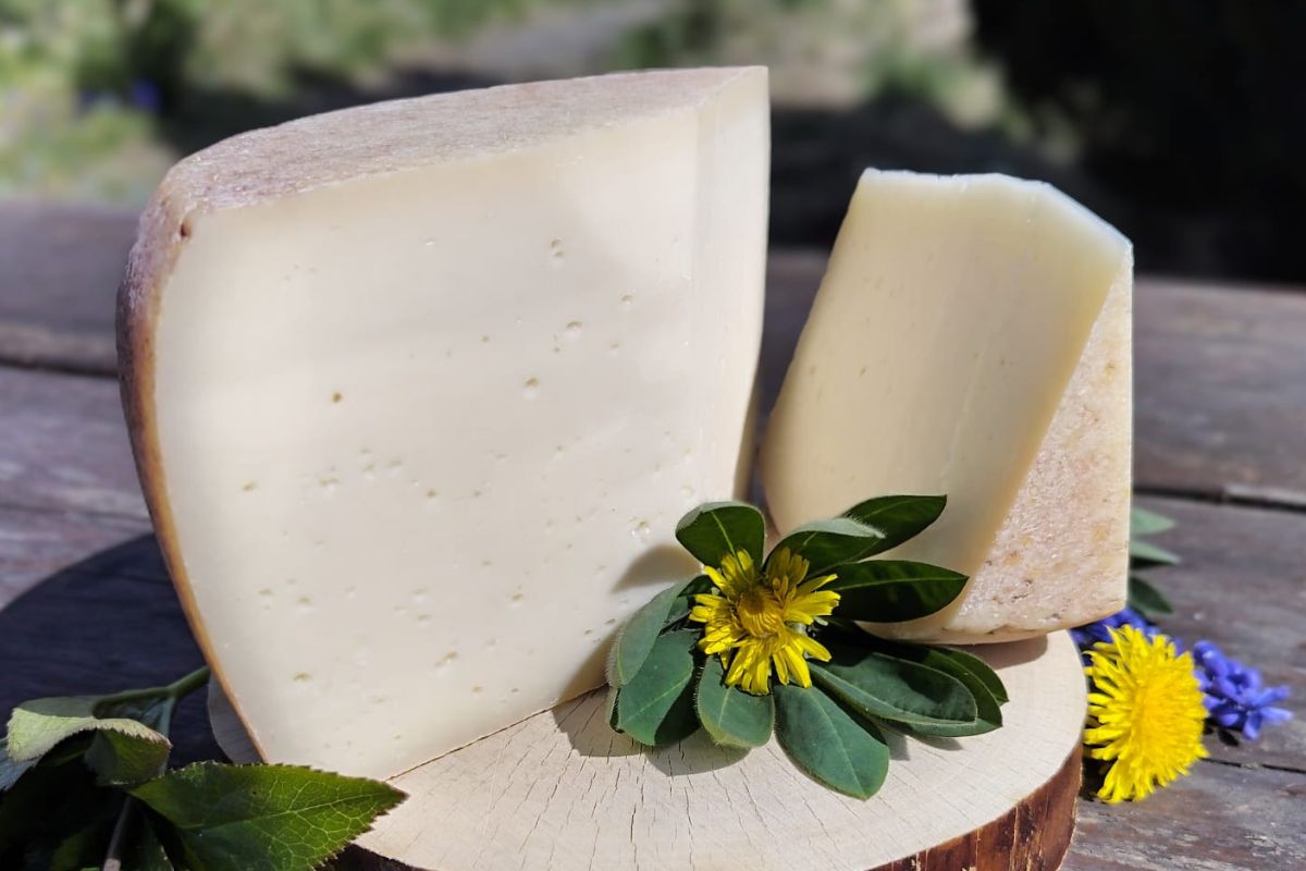 Ser Diabelski Kamień z Natury na Wypasie