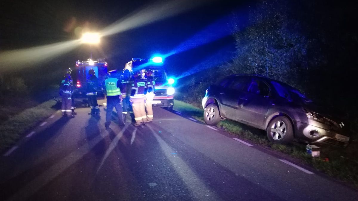 dzik wypadek policja 