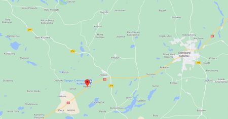 Pomorskie. Śmiertelny wypadek na dk 22. Samochód uderzył w drzewo