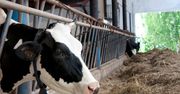 Wyższa premia dla młodych rolników. Nawet 300 tys. zł wsparcia