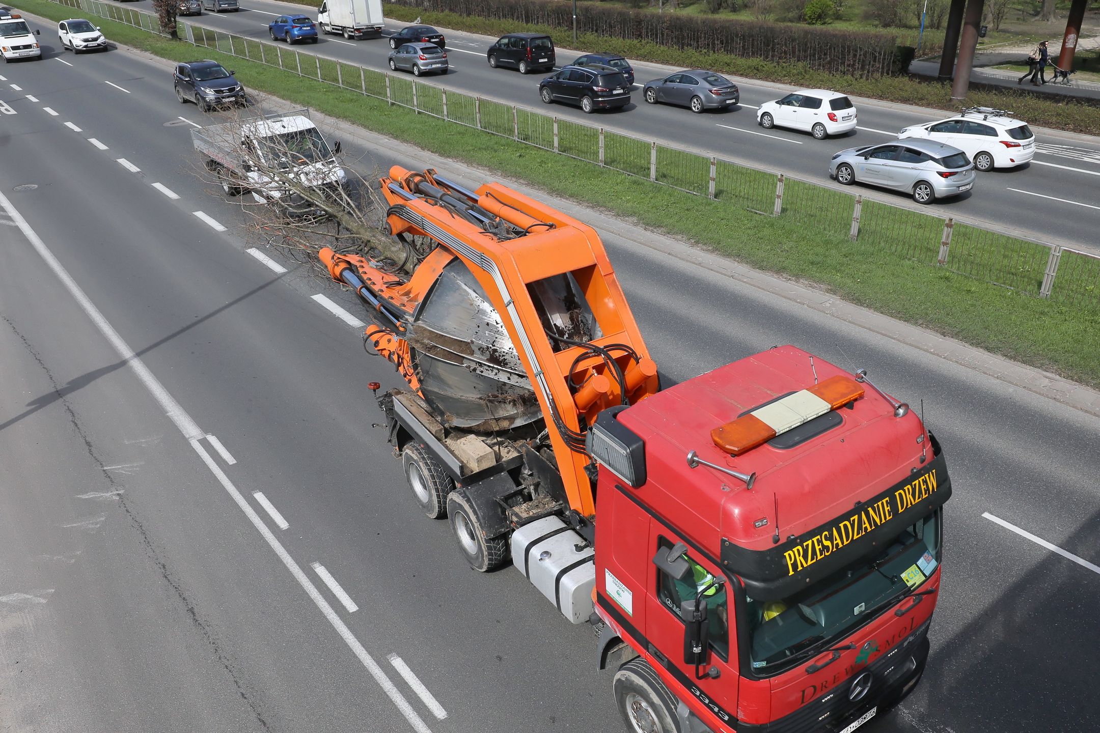 Warszawa. Akcja przesadzania drzew