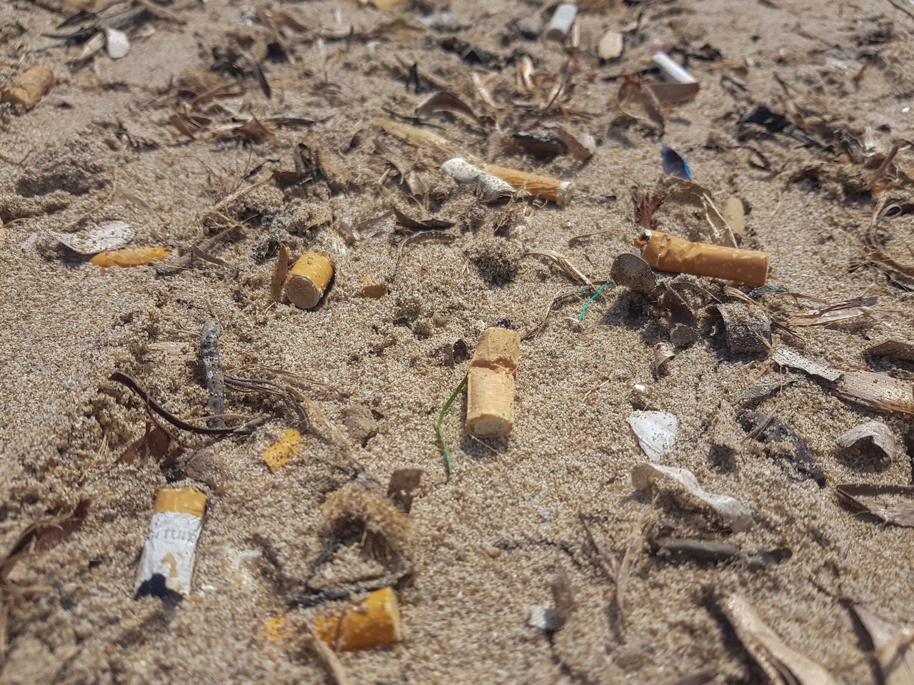 Turyści najczęściej zostawiają niedopałki papierosów na plażach