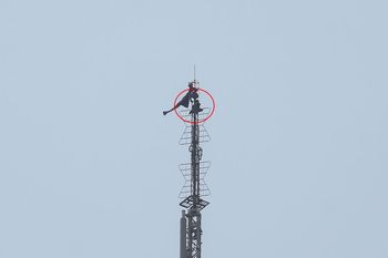 Wspięli się na szczyt Empire State Building. Całowali się na antenie