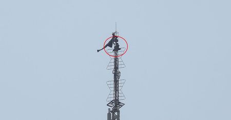 Wspięli się na szczyt Empire State Building. Całowali się na antenie