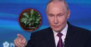 Wpadka Putina. Znów zdemaskowała go roślina