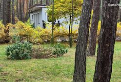 Więził, odurzał i gwałcił. Koszmar 22-latki na Śląsku