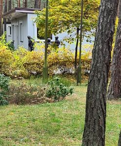 Więził, odurzał i gwałcił. Koszmar 22-latki na Śląsku