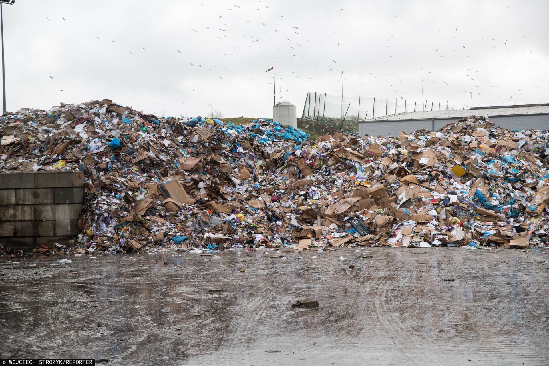 wiadomości,aktualności,WP Wiadomości Chwile grozy w Elblągu. Wykryto promieniowanie w zakładzie utylizacji