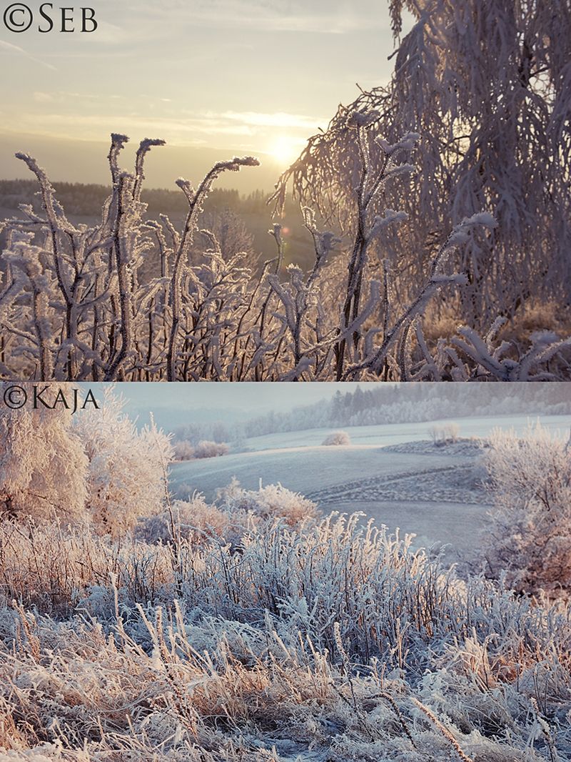 Fotograficzny pojedynek, który dał nadzieję fotografom i rodzicom z całego świata 2