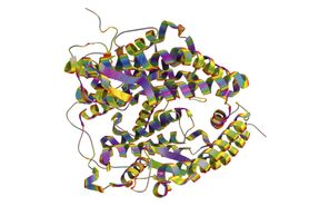 Białko - budowa i funkcje w organizmie